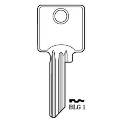 BLG 1_10000